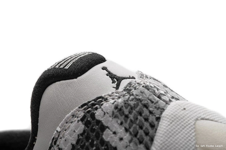 Jordan Snake Low Light 11  Retro Bone CD6846-002 1218